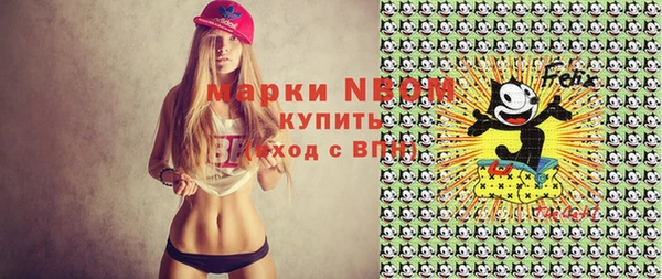 шишки Алексин