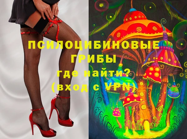 ПСИЛОЦИБИНОВЫЕ ГРИБЫ Алзамай