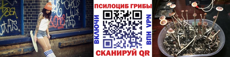 Галлюциногенные грибы MAGIC MUSHROOMS это какой сайт Ядрин